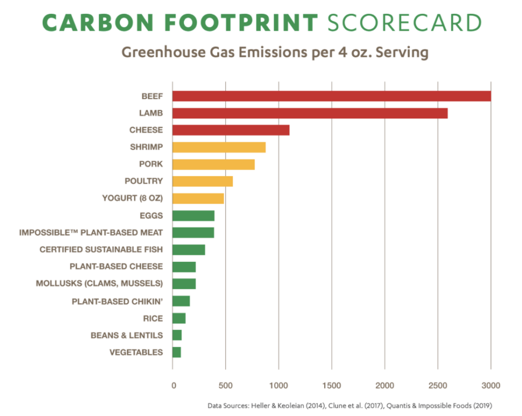 carbon scorecard